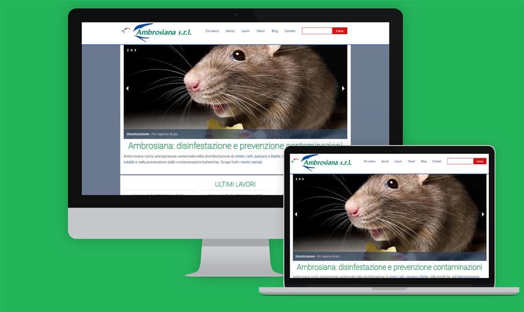 Creazione di un sito internet per impresa di disinfestazioni